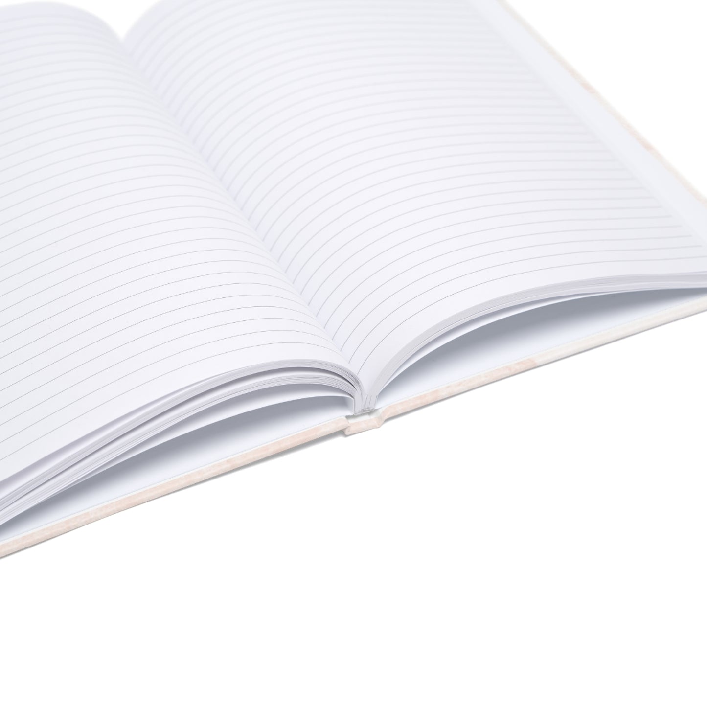 No Looking Back- Women's Daily Journal