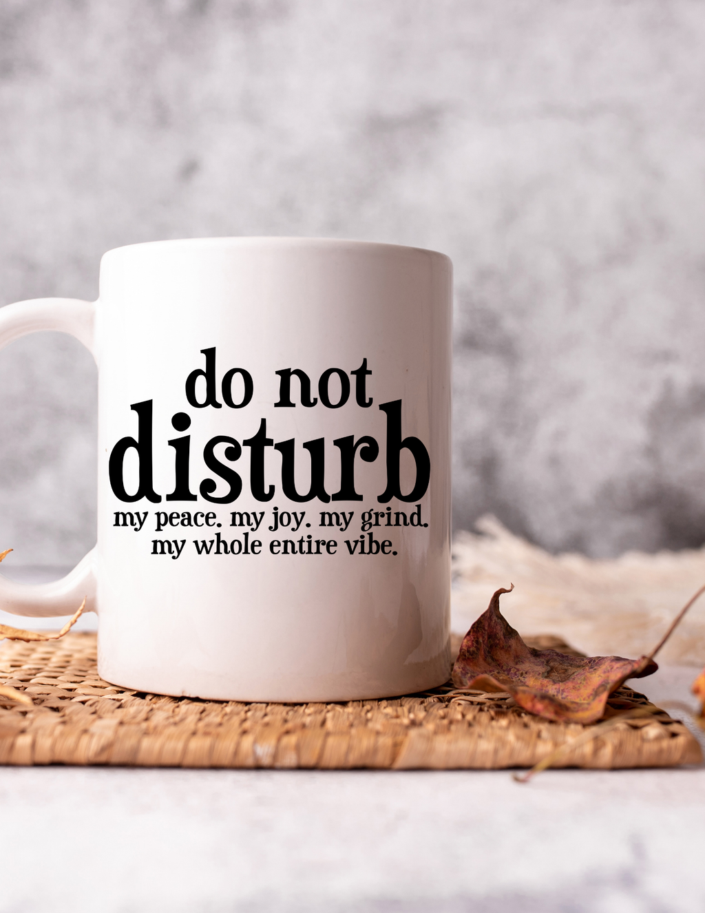 Do Not Disturb My Vibe 11oz Ceramic Mug
